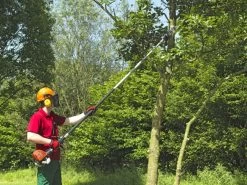 DOLMAR ME2464 Benzin Hochentaster -Gartengeräte dolmar benzin hochentaster me 246 4 701246450 3