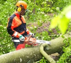 DOLMAR PS 5105 CX 38 Cm .325'' Benzin-Kettensäge -Gartengeräte dolmar benzin kettens ge ps 5105 cx 700501002 12 1