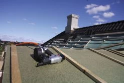 TJEP MX 50 Coil-Druckluftnagler 9 TJEP MX 50 Coil-Druckluftnagler -Gartengeräte tjep mx 50 coilnagler 100050 situation 2